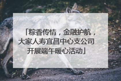 粽香传情，金融护航，大家人寿宜昌中心支公司开展端午暖心活动