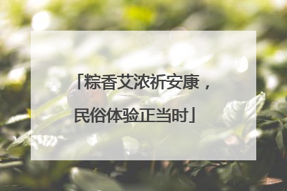 粽香艾浓祈安康，民俗体验正当时