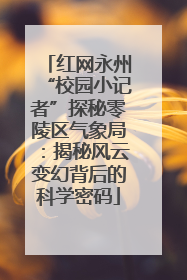 红网永州“校园小记者”探秘零陵区气象局：揭秘风云变幻背后的科学密码