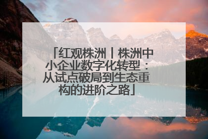 红观株洲丨株洲中小企业数字化转型：从试点破局到生态重构的进阶之路