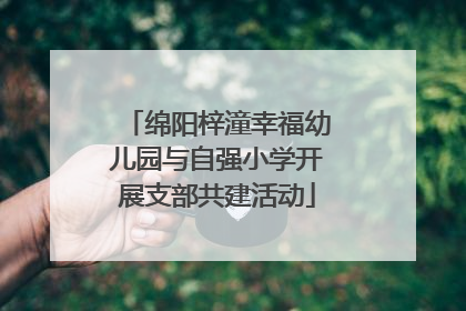 绵阳梓潼幸福幼儿园与自强小学开展支部共建活动