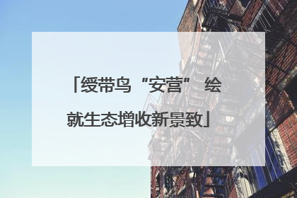 绶带鸟“安营” 绘就生态增收新景致