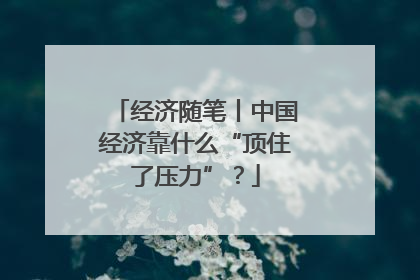 经济随笔丨中国经济靠什么“顶住了压力”？