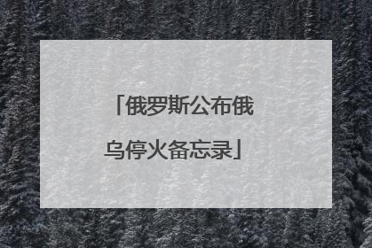 俄罗斯公布俄乌停火备忘录