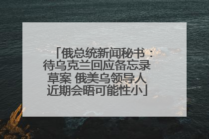 俄总统新闻秘书：待乌克兰回应备忘录草案 俄美乌领导人近期会晤可能性小