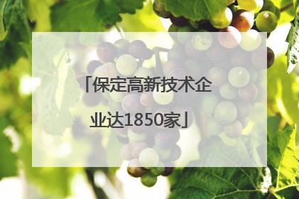保定高新技术企业达1850家