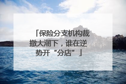 保险分支机构裁撤大潮下，谁在逆势开“分店”