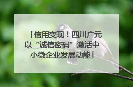 信用变现！四川广元以“诚信密码”激活中小微企业发展动能