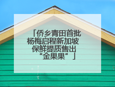 侨乡青田首批杨梅启程新加坡 保鲜提质售出“金果果”