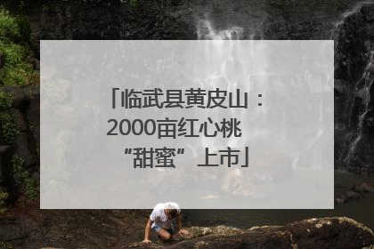 临武县黄皮山：2000亩红心桃“甜蜜”上市