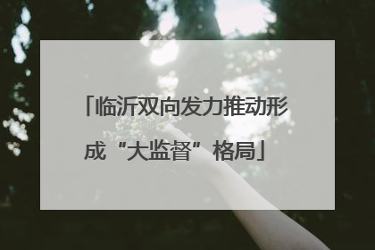 临沂双向发力推动形成“大监督”格局