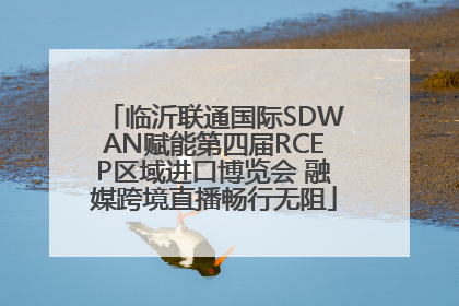 临沂联通国际SDWAN赋能第四届RCEP区域进口博览会 融媒跨境直播畅行无阻