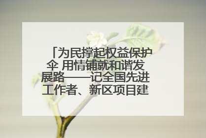 为民撑起权益保护伞 用情铺就和谐发展路——记全国先进工作者、新区项目建设中心干部卢小勇