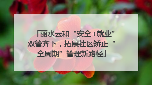 丽水云和“安全+就业”双管齐下，拓展社区矫正“全周期”管理新路径