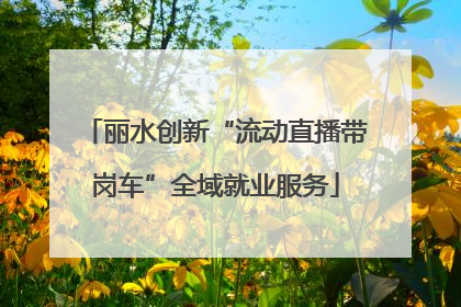 丽水创新“流动直播带岗车”全域就业服务