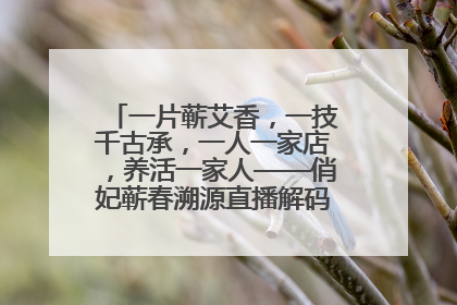 一片蕲艾香，一技千古承，一人一家店，养活一家人——俏妃蕲春溯源直播解码中医养生文化传承