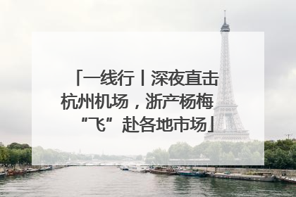 一线行丨深夜直击杭州机场，浙产杨梅“飞”赴各地市场