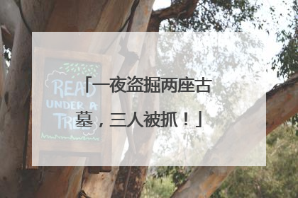一夜盗掘两座古墓，三人被抓！