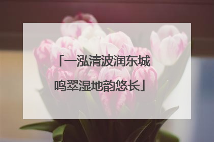 一泓清波润东城 鸣翠湿地韵悠长