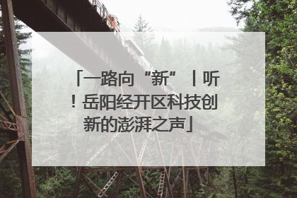 一路向“新”丨听！岳阳经开区科技创新的澎湃之声