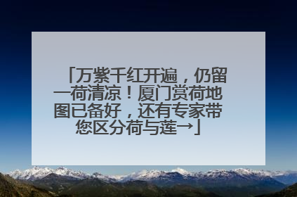 万紫千红开遍，仍留一荷清凉！厦门赏荷地图已备好，还有专家带您区分荷与莲→