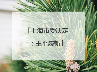 上海市委决定：王平履新