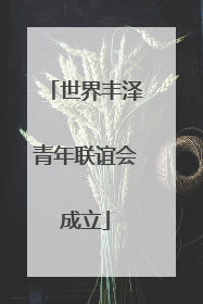 世界丰泽青年联谊会成立