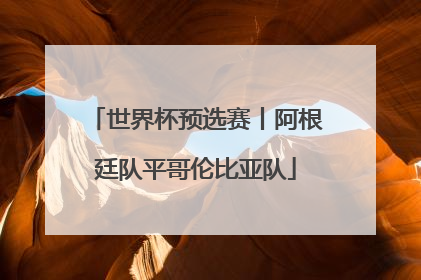 世界杯预选赛丨阿根廷队平哥伦比亚队