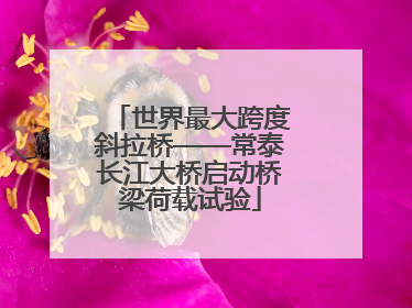 世界最大跨度斜拉桥——常泰长江大桥启动桥梁荷载试验