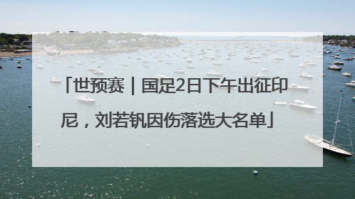 世预赛｜国足2日下午出征印尼，刘若钒因伤落选大名单