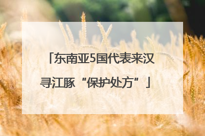 东南亚5国代表来汉寻江豚“保护处方”
