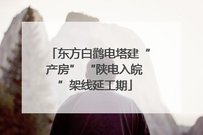 东方白鹳电塔建“产房” “陕电入皖”架线延工期