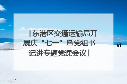东港区交通运输局开展庆“七一”暨党组书记讲专题党课会议