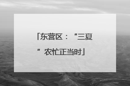 东营区：“三夏”农忙正当时