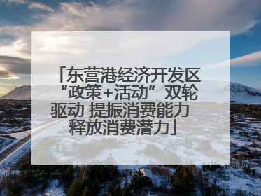 东营港经济开发区“政策+活动”双轮驱动 提振消费能力 释放消费潜力