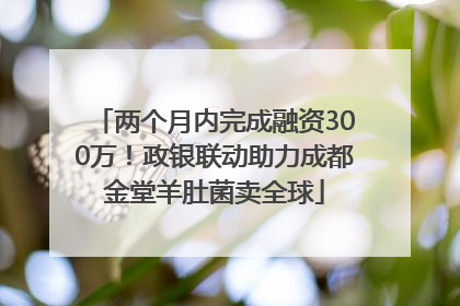 两个月内完成融资300万！政银联动助力成都金堂羊肚菌卖全球