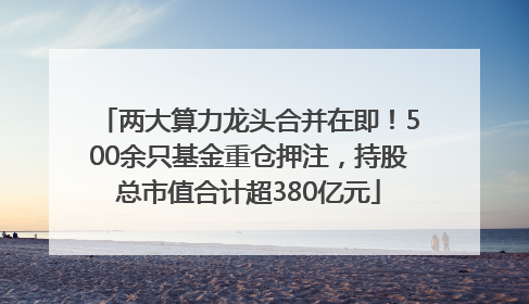 两大算力龙头合并在即!500余只基金重仓押注,持股总市值合计超380亿元