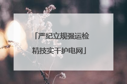 严纪立规强运检 精技实干护电网