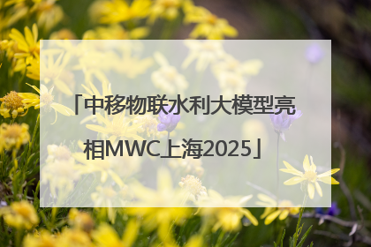 中移物联水利大模型亮相MWC上海2025