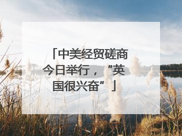 中美经贸磋商今日举行，“英国很兴奋”