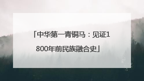 中华第一青铜马：见证1800年前民族融合史