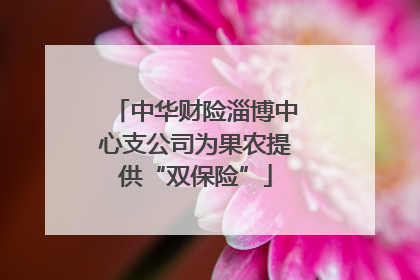 中华财险淄博中心支公司为果农提供“双保险”