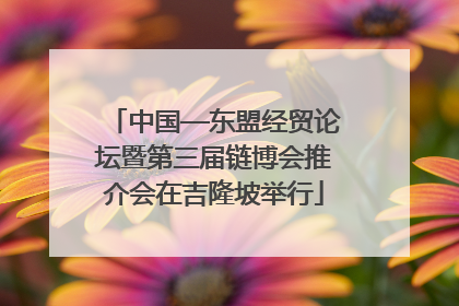 中国—东盟经贸论坛暨第三届链博会推介会在吉隆坡举行