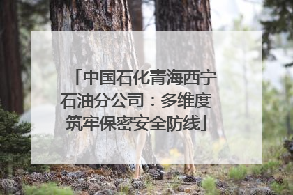 中国石化青海西宁石油分公司：多维度筑牢保密安全防线