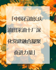 中国石油长庆油田采油十厂深化党建融合凝聚奋进力量