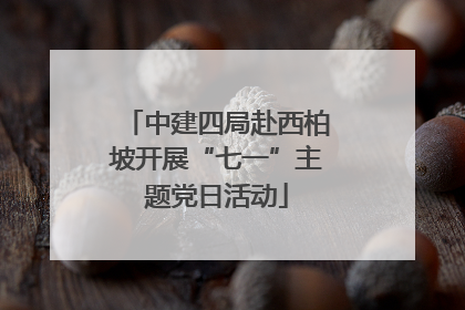 中建四局赴西柏坡开展“七一”主题党日活动