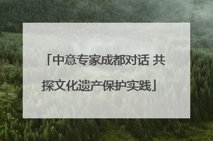中意专家成都对话 共探文化遗产保护实践