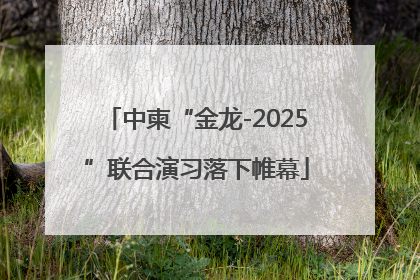 中柬“金龙-2025”联合演习落下帷幕