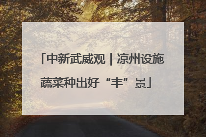 中新武威观｜凉州设施蔬菜种出好“丰”景