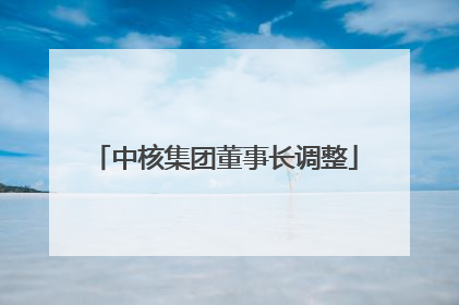 中核集团董事长调整